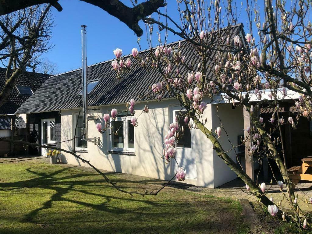 De Hazeldonck Villa Gemert Dış mekan fotoğraf